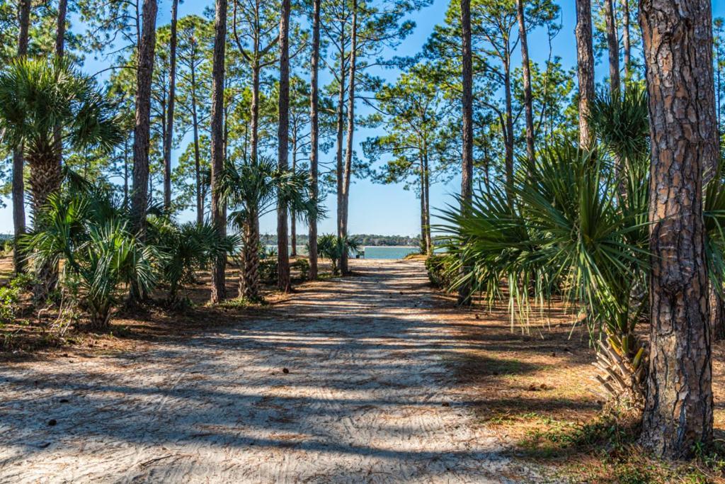 1686 Bluff Villas Renovated Sleeps 8 Walk To Salty Dog Sea Pines Île de Hilton-Head Extérieur photo